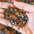 Level 2 Teas (More than 65kgs) - hottie detox-store